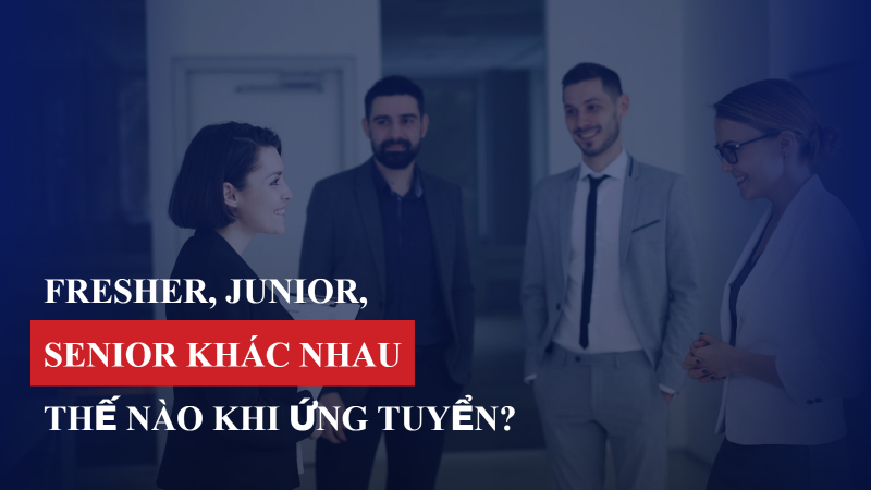 Fresher, Junior, Senior khác nhau thế nào khi ứng tuyển?